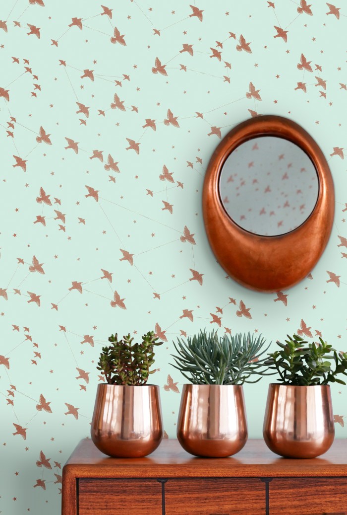 final-pv-starlingsitu